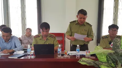 Công bố thanh tra vụ phá rừng nuôi bò ở Phú Yên