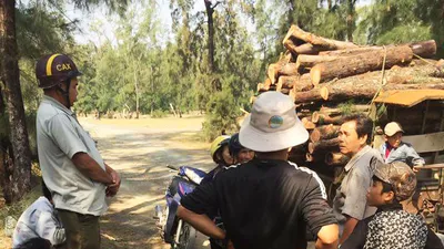 Buộc HTX phá rừng phòng hộ trồng lại rừng