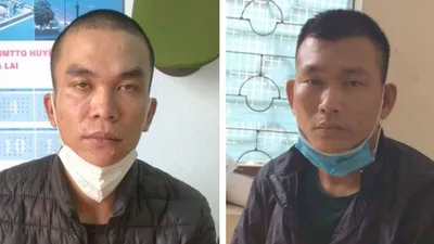 Tạm giữ hai người lái xe tải đi trộm chó liên tỉnh