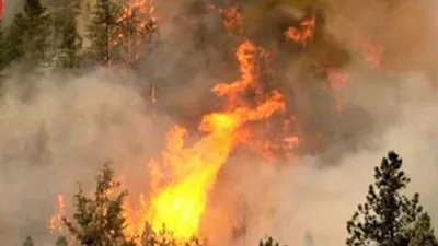 1 người tử vong sau khi tham gia chữa cháy rừng ở Phú Yên