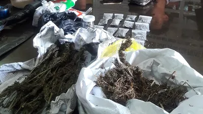 Bắt đối tượng bán, tàng trữ ‘cỏ' Mỹ có hung khí