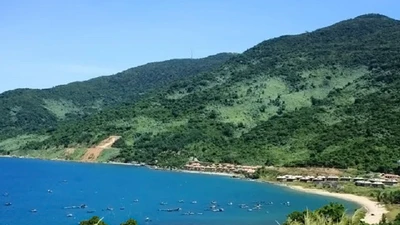 Bàn quy hoạch Sơn Trà: Tiếng nói ngược tai nhưng đúng