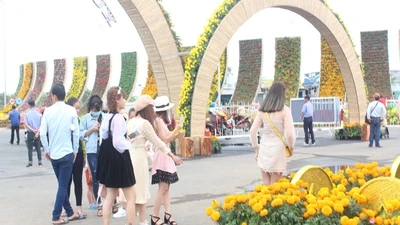 Du khách thích thú với đường hoa xuân tại TP Mỹ Tho