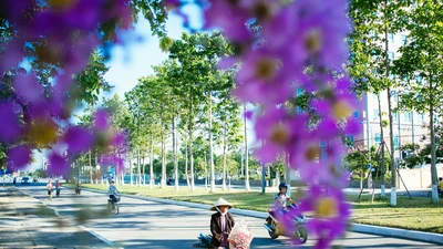 Chùm ảnh TP Tam Kỳ 'đẹp ngất ngây'