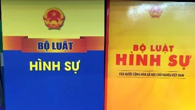 3 lỗi nghiêm trọng trong Bộ luật Hình sự 2015