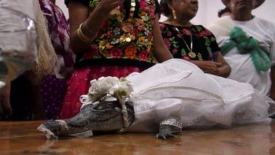Kỳ lạ tục đám cưới với... cá sấu ở Mexico