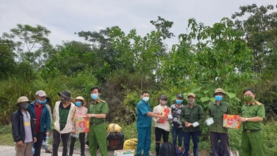 Đà Nẵng tìm cách đưa gần 100 người mắc kẹt trong rừng đến nơi tránh bão