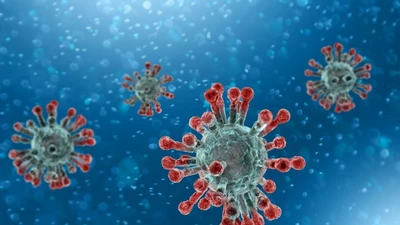 Hà Nội ghi nhận 29 ca mắc COVID-19, khuyến cáo về biến thể ve sầu BA.3.2