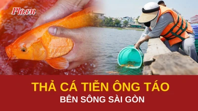 Video: Người dân tấp nập thả cá tiễn ông Táo bên sông Sài Gòn