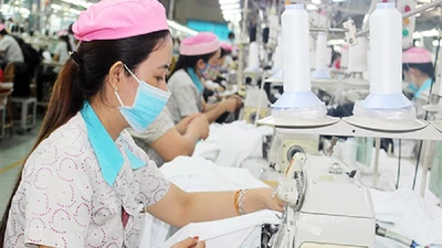 Đồng Nai: Vận động công nhân ngoại tỉnh không về quê ăn Tết 