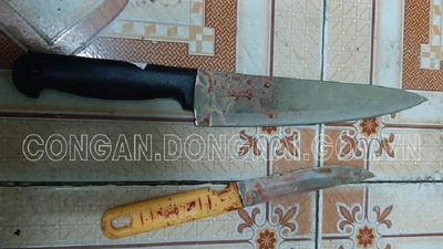 Mâu thuẫn lúc ăn nhậu, hai anh em đâm nhau khiến cả hai tử vong 