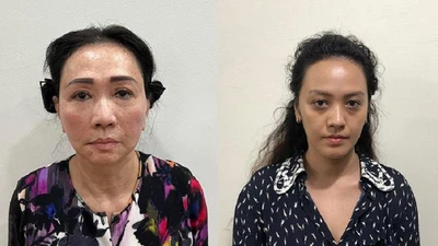 Cô cháu gái Trương Huệ Vân đã giúp sức cho bà Trương Mỹ Lan ra sao?