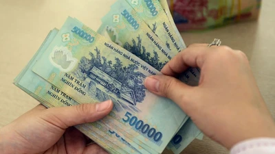 Phải chung chi, loạt nhà thầu làm đơn tố giác cấp dưới của cựu bộ trưởng Nguyễn Thị Kim Tiến