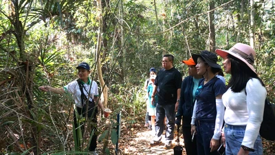 Du lịch nội địa gặp khó khi tăng giá trần giá vé máy bay