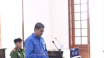 1 ‘cò lúa’ lãnh án vì lừa tiền đặt cọc của thương lái