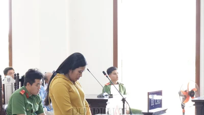 Nữ bị cáo nói tiếp tục lừa đảo để kiếm tiền trả thù lao cho luật sư trong vụ án trước