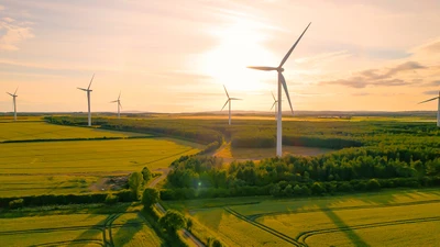 Bài toán Net Zero: Tài chính xanh và thị trường carbon mở lối cho dòng vốn trăm tỉ USD