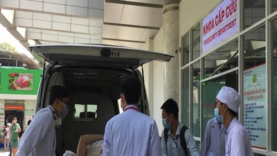 Thông tin mới vụ cây đổ, đè nhiều học sinh ở TP.HCM