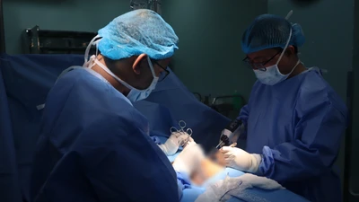 Tai nạn hi hữu: Đỡ đẻ cho heo, bị heo táp rách cơ quan sinh dục