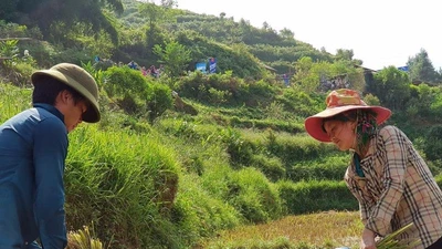 Lễ hội, văn hóa và... đồng hóa