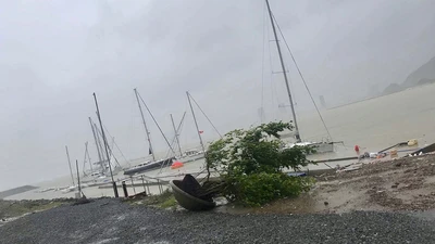 Bão số 12 làm hàng chục thuyền viên chìm xuống biển