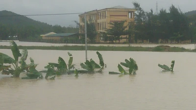 Quốc lộ 1 qua Quảng Ngãi chia cắt, nhiều nơi ngập sâu