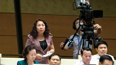 Nguyện vọng cử tri và những cánh tay chất vấn ở Quốc hội 