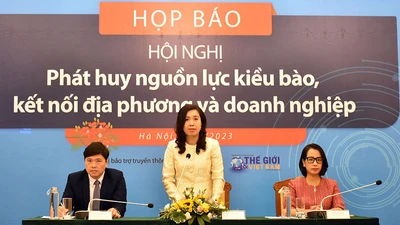 Chủ nhiệm Ủy ban Nhà nước về người Việt Nam ở nước ngoài Lê Thị Thu Hằng trả lời câu hỏi của báo chí.