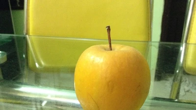 Trái táo để 9 tháng không hỏng