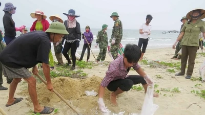 Vụ cá chết bất thường: Bốn bộ công bố kết quả kiểm tra