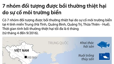 Infographic: 7 nhóm được bồi thường do sự cố cá chết