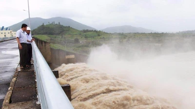 Phú Yên: Thủy điện đồng loạt xả lũ