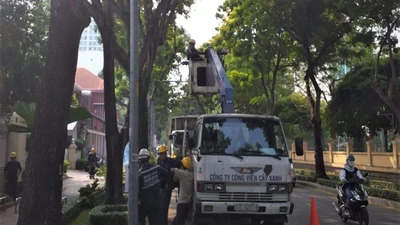 Không nên cắt tỉa nhánh cây xanh đường phố vào giờ cao điểm