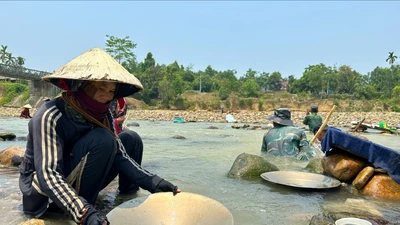 Người dân miền núi Quảng Nam xuống sông tìm vàng. Ảnh: THANH NHẬT