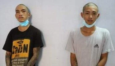 Đem xe lôi đến tòa thánh trộm tượng voi