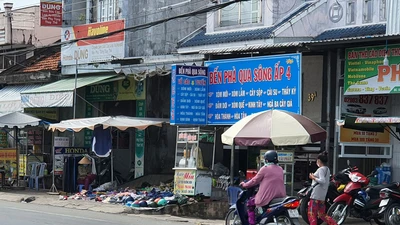 Ly kỳ vụ chủ tiệm vàng bán rẻ tài sản cho con