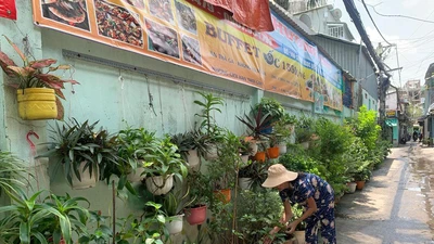 TP.HCM: Những bức tường “xanh” chống nạn sơn vẽ bậy