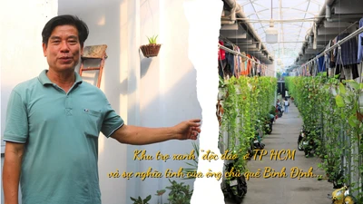 Khu nhà trọ xanh mát, sạch đẹp của ông chủ quê Bình Định tốt bụng.