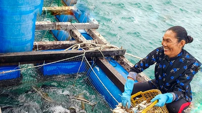 Tỉnh Kiên Giang xác định kinh tế biển sẽ là hướng phát triển chủ lực trong thời gian tới