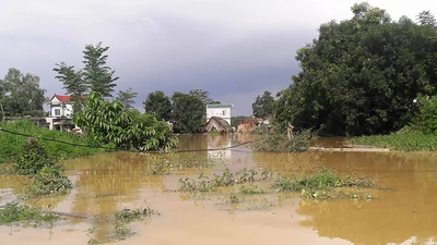 Hà Nội: Vỡ đê, nhiều nơi chìm trong nước