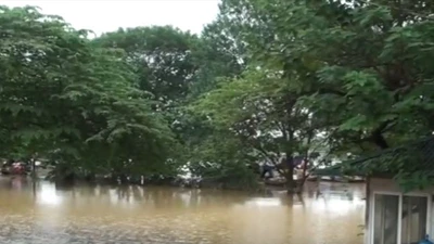 Hà Nội: Lũ sông Hồng cao nhất trong 10 năm qua