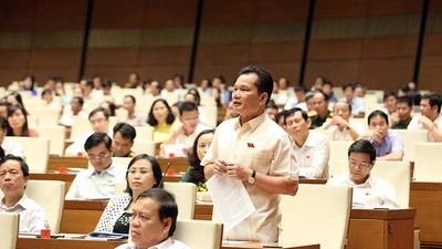 Quốc hội tranh luận về vụ xử BS Hoàng Công Lương