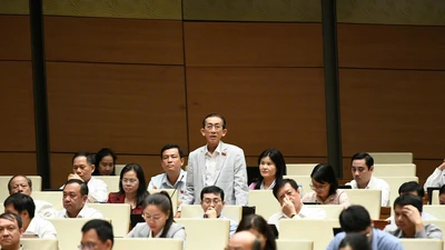 Đại biểu Quốc hội ủng hộ sớm giảm thuế xăng dầu để kiểm soát lạm phát