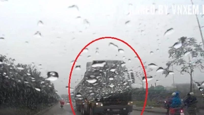 Tước bằng lái tài xế chạy ngược chiều trên đại lộ