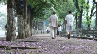 Hà Nội mộng mơ với sắc tím bằng lăng