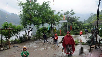 Miền Bắc xuất hiện băng giá, nhiệt độ thấp nhất -2 độ C