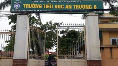 Cô giáo xin lỗi vì đã dùng thước đánh vào đầu học sinh 