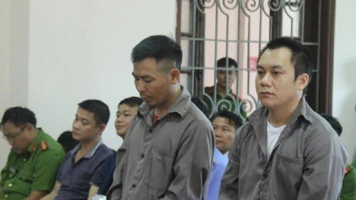 Vụ lùi xe cao tốc: Xe container giảm 62km/giờ chỉ trong 1giây?