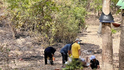 Thi thể người đàn ông chết cháy trong lô cao su là 1 kiểm sát viên 
