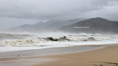 Bão số 13 ở Gia Lai: Đã xảy ra hư hỏng tài sản, có người bị thương 